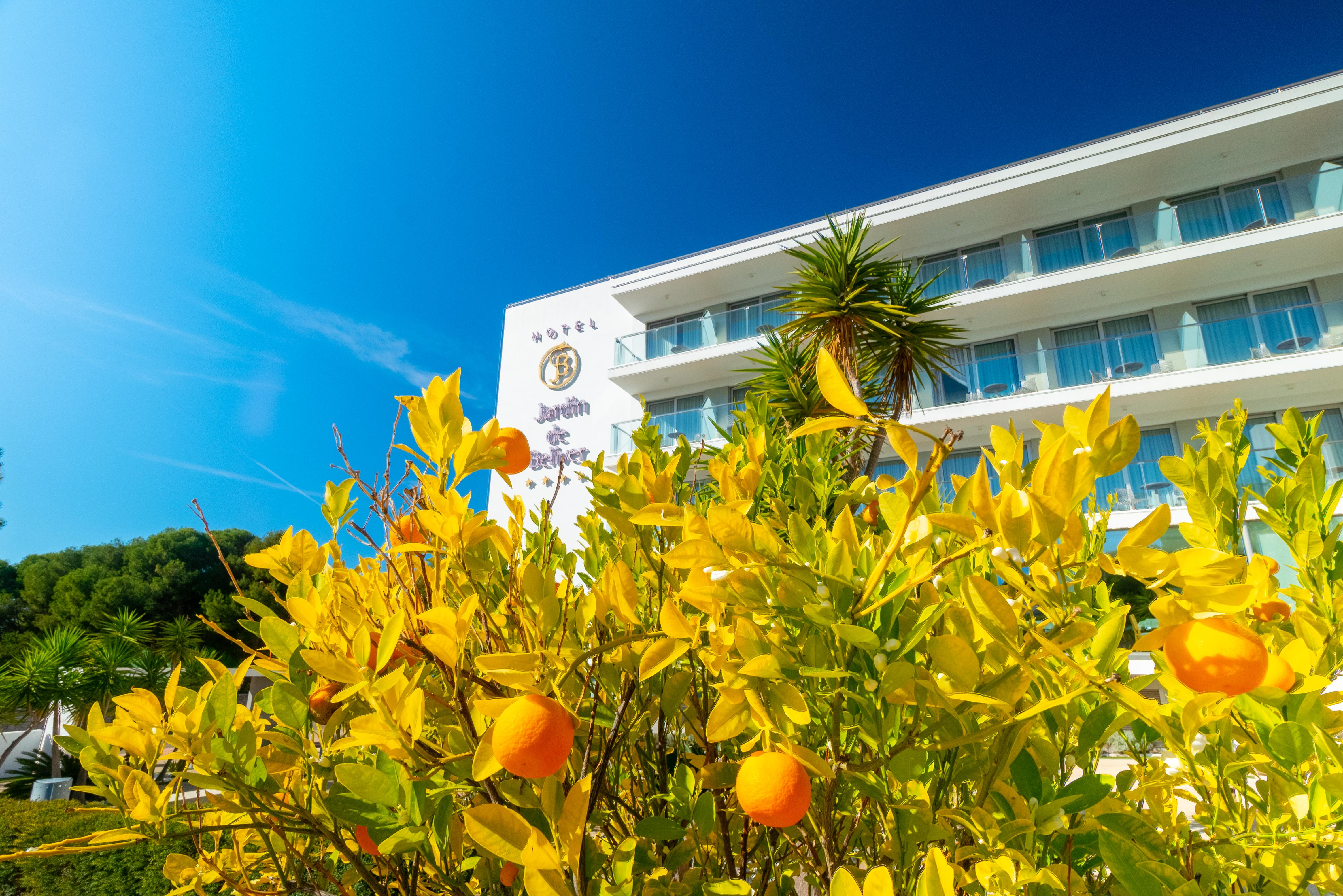 Hotel Jardín de Bellver Oropesa del Mar Exterior foto